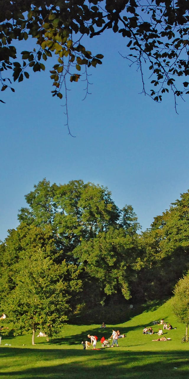 Der Monopteros auf seinem Hügel im Englischen Garten München, gerahmt von Baumzweigen und umgeben von grünen Wiesen.