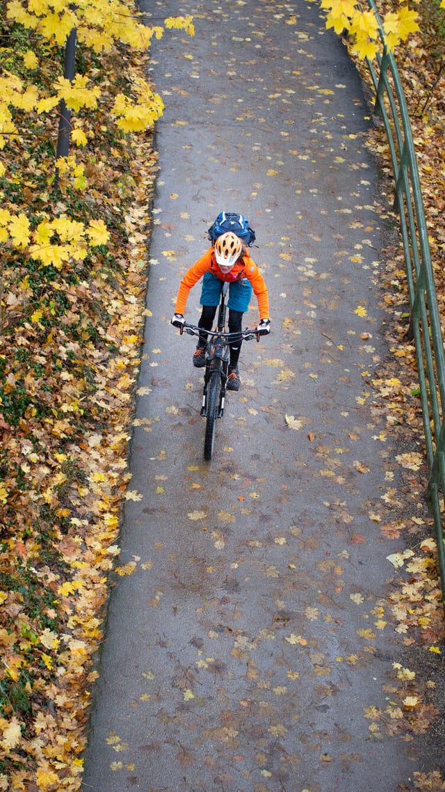 Radfahrer auf herbstlichem Weg von oben.