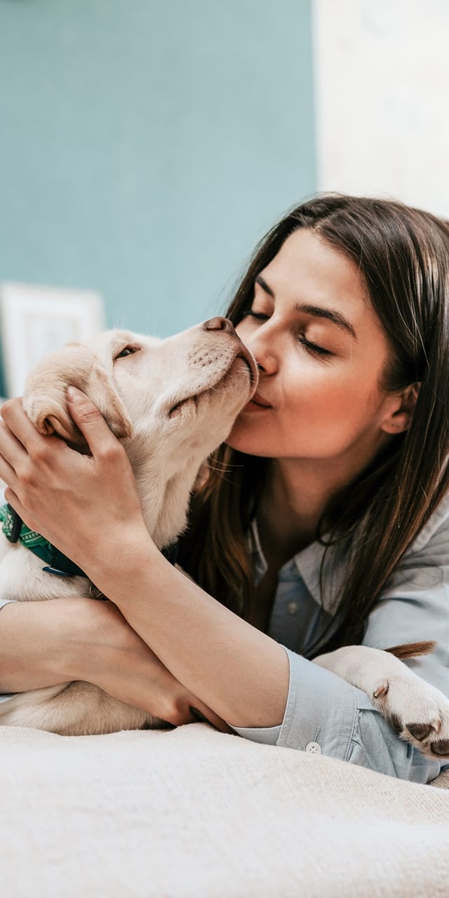 Frau kuschelt liebevoll mit einem kleinen Hund auf einem gemütlichen Hotelbett.