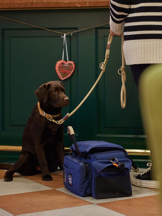 Gast an der Hotelrezeption mit wartendem Hund an der Leine, gemütlich.e Atmosphäre mit warmem Holzdesign