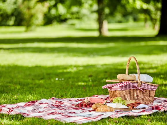Picnic basket on a checkered blanket in a green park.