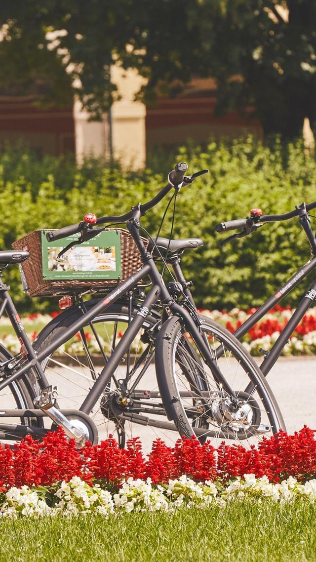 Zwei Fahrräder parken vor einem historischen Gebäude neben einem Tulpenbeet – Stadtradeln und Frühlingsausflüge für Hotelgäste.