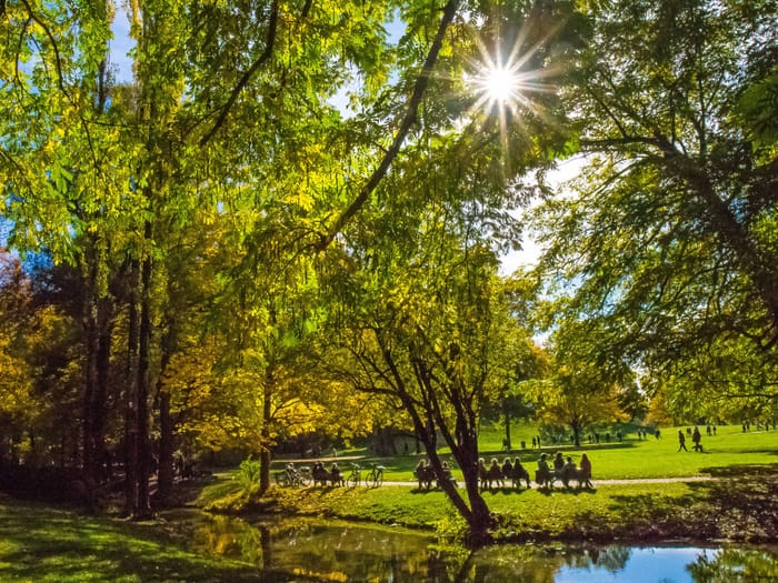 Sunlight breaking through foliage in Munich's English Garden, reflecting on the water of a small stream in the foreground.